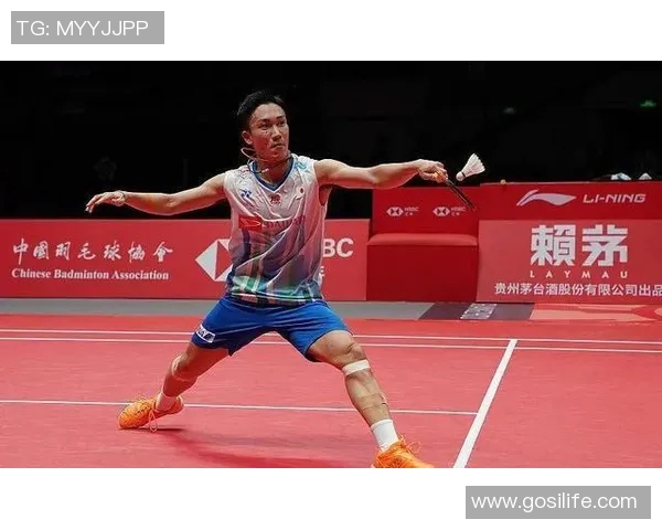 成都羽毛球队在锦标赛中的战术表现分析与点评探讨 成都羽毛球队在锦标赛中的战术表现分析与点评探讨