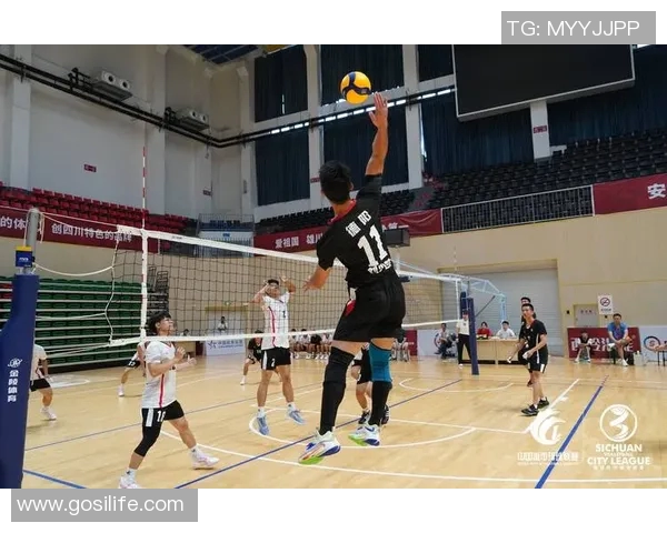 成都排球队在精英赛中的状态分析与表现评估 成都排球队在精英赛中的状态分析与表现评估