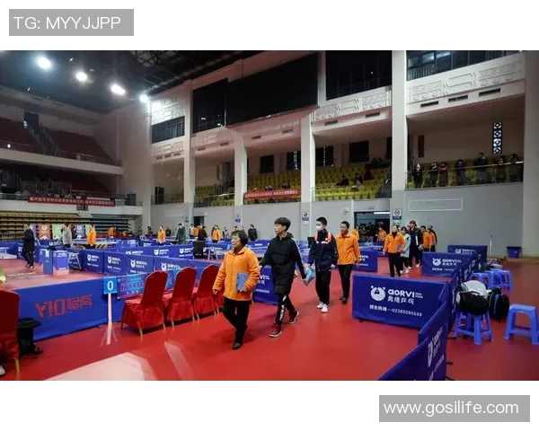 武汉乒乓球队的运营模式与发展策略深度解析