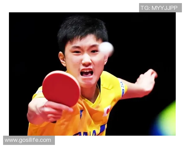 武汉乒乓球队实力分析与未来发展潜力的深度探讨 武汉乒乓球队实力分析与未来发展潜力的深度探讨