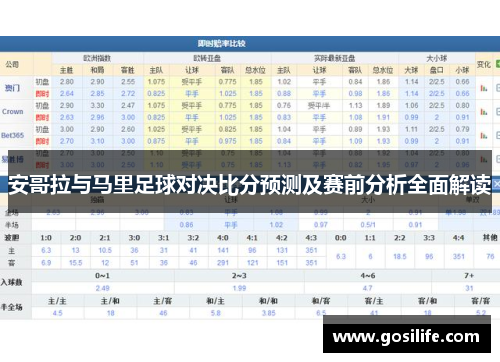 安哥拉与马里足球对决比分预测及赛前分析全面解读